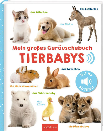 Mein großes geräuschebuch - großes,