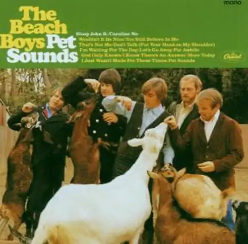 Rumpelstil beach boys pet - rumpelstil,